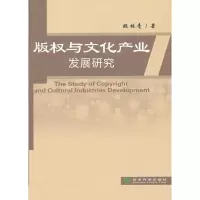 11版权与文化产业发展研究978751412384522