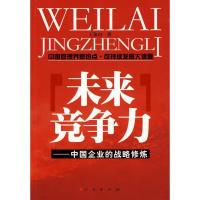 11未来竞争力――中国企业的战略修炼978701007299922