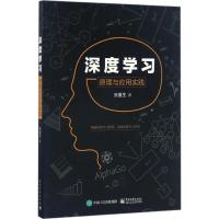 11深度学习:原理与应用实践978712130413222