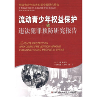 11流动青少年权益保护与违法犯罪预防研究报告978781139398922