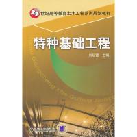 11特种基础工程978711123546022