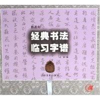 11赵孟頫经典书法临习字谱(精)978780690805122