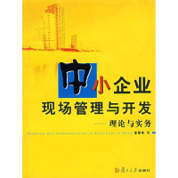 11中小企业现场管理与开发--理论与实务978730904376122
