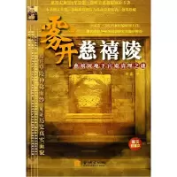 11雾开慈禧陵-慈禧陵地下宫殿清理之谜978780084998522