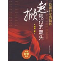 11掀起银行的盖头978753841629922