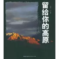 11留给你的高原978780069617622