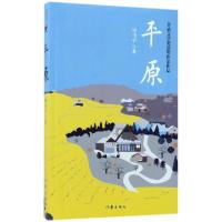 11平原978750639476522