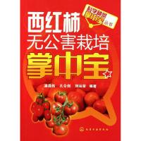 11西红柿无公害栽培掌中宝/科学种菜掌中宝丛书978712211246022
