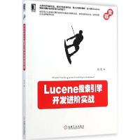 11Lucene搜索引擎开发进阶实战978711148842222