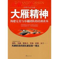 11大雁精神/金牌员工职业精神系列丛书978750804881922