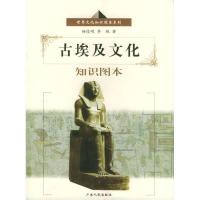 11古埃及文化知识图本978721804386922