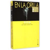 11在岸边(21世纪年度最佳外国小说2014)978702010689922