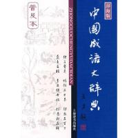 11中国成语大辞典(普及本)978753262316722