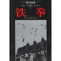 11D三帝国-铁拳978780645843322