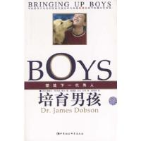 11培育男孩:塑造下一代男人978750044170022