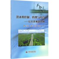 11洪水的控制、管理与经营:以大庆地区为例978751704919722