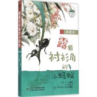 11露着衬衫角的小蚂蚁(典藏版)978751482522022