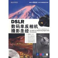 11DSLR数码单反相机摄影圣经(DVD)978703023296022