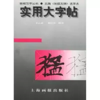 11实用大字帖:北魏《张猛龙碑》选字本978780530671122