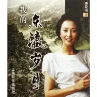 11我的东瀛岁月978753262091322