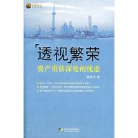 11透视繁荣(资产重估深处的忧虑)978750920210422