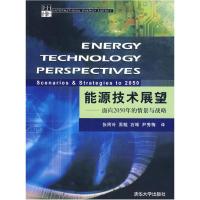 11能源技术展望——面向2050年的情景与战略978730219398222