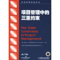 11项目管理中的三重约束——项目管理经典译丛978711119583222