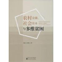 11农村金融、社会资本与多维贫困978752181018922