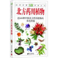 11自然珍藏图鉴丛书-《北方药用植物》978780652927022