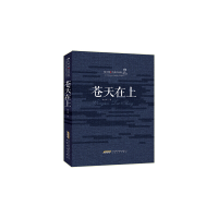 11陆天明经典作品集:苍天在上978753965165122