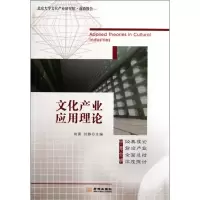11文化产业应用理论978751550166622