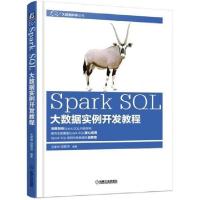 11Spark SQL大数据实例开发教程978711159197922