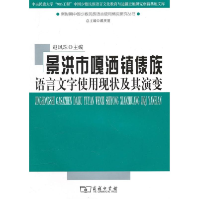 11景洪市嘎洒镇傣族语言文字使用现状及其演变978710007391222