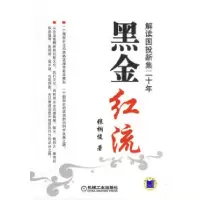 11黑金红流——解读国投新集二十年978711128499422