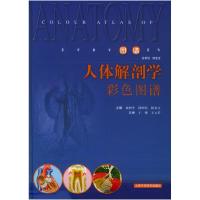 11人体解剖学彩色图谱——医学教学图谱系列978753236486222