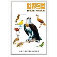 11世界鸟类978753882224322