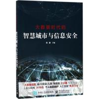 11大数据时代的智慧城市与信息安全978712126953022