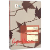 11乌村幻影978753608140622