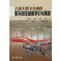 11吉林大情字井油田复杂岩性油藏评价与预测978750218716322