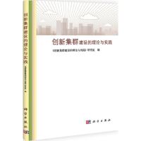 11创新集群建设的理论与实践978703033708522