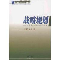 11战略规划——一个项目团队的学习过程978710005810022