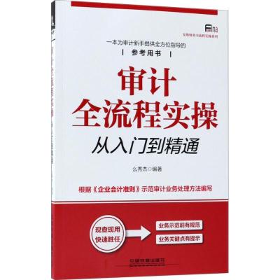 11审计全流程实操从入门到精通978711324547422