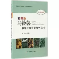 11彩图版马铃薯栽培及病虫害绿色防控978710922311022