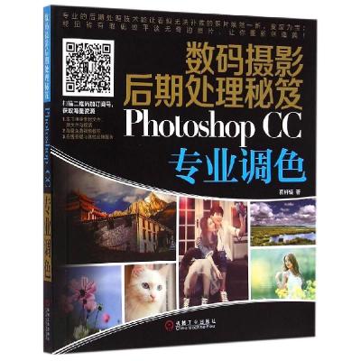 11数码摄影后期处理秘笈:Photoshop CC专业调色978711149892622