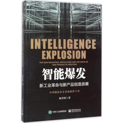 11智能爆发:新工业革命与新产品创造浪潮978712131299122