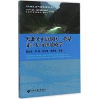 11黔北务正道地区二叠系铝土矿沉积地质学978756253804222