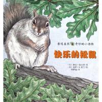 11快乐的松鼠/亲近自然奇妙的小动物978753134281622