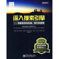 11深入搜索引擎--海量信息的压缩、索引和查询978712108491122