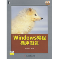 11Windows编程循序渐进978711123862122