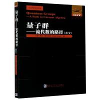 11量子群--流代数的路径978756039171722